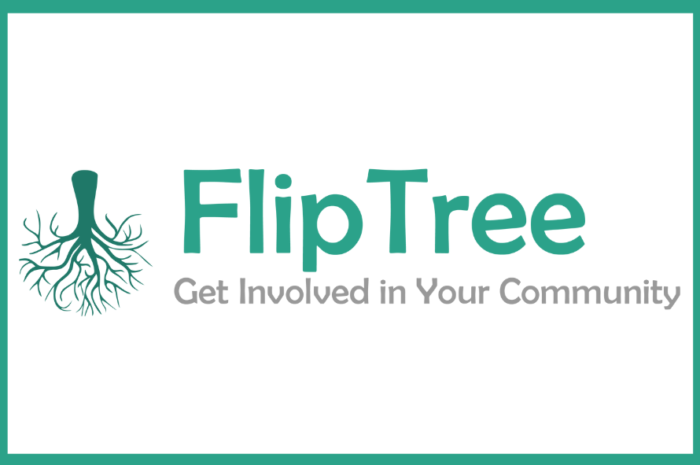 FlipTree Technologies Hiring for QA Engineer – Fresher | Remote Work | December 2022