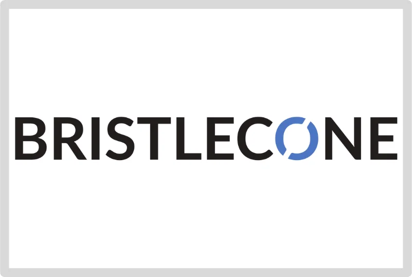 Bristlecone