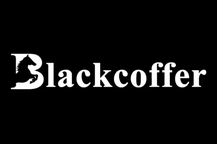 Blackcoffer internship drive | Application Testing | Work From Home | March 2023 | Apply now