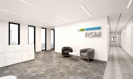 RSM US LLP - QA Automation Engineer