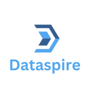 Dataspire Software tester