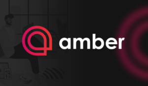 Amber Quality Assurance Engineer (Manual)