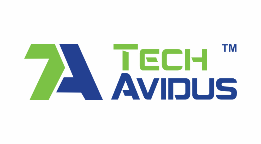 TechAvidus Careers